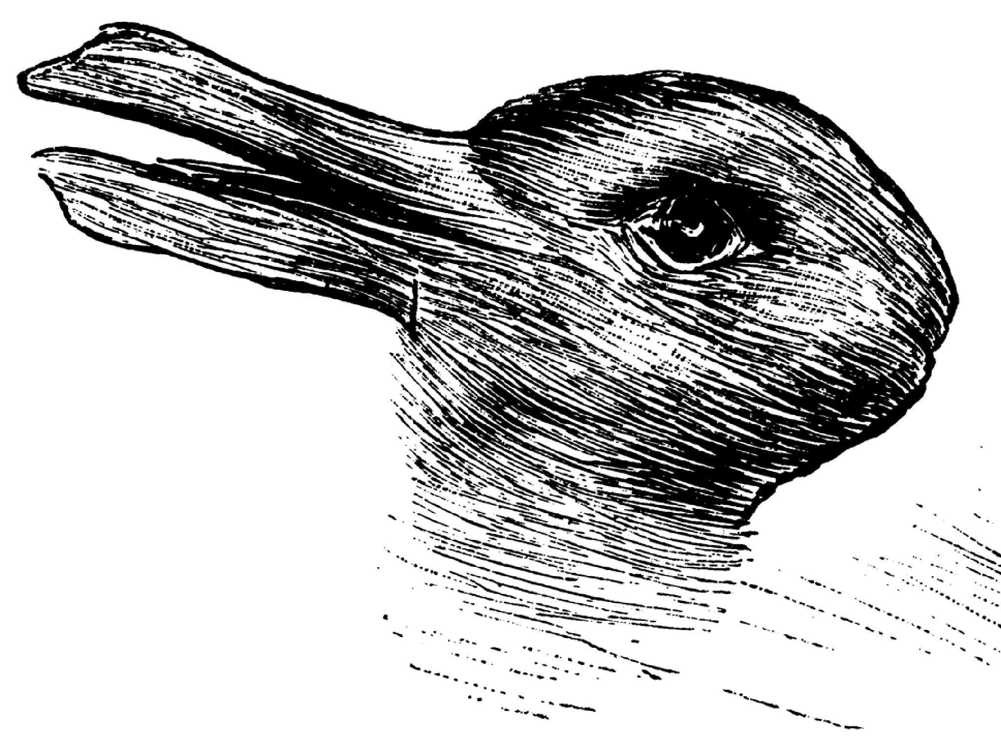 Duck or Rabbit: Probability, Perception, and Philosophy